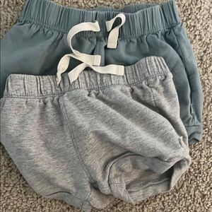 Set of Two 2T little planet organic carters Shorts in Blue and Gray